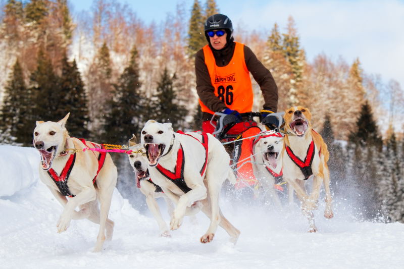 5. Platz Stefan Klughammer